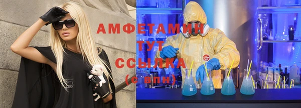 молекула духа Гвардейск