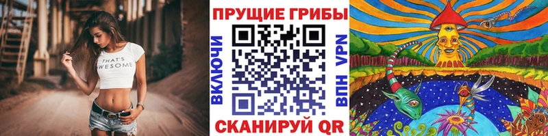 Псилоцибиновые грибы Magic Shrooms  Невьянск 